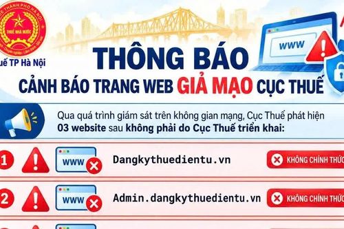 Cơ quan Thuế khuyến cáo người dân không truy cập 3 website giả mạo