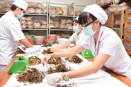 Chú trọng phối hợp giữa y học cổ truyền và y học hiện đại