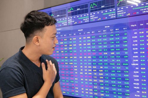 Cổ phiếu nhóm Gelex lên xuống 'như tàu lượn'