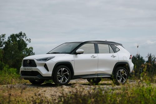Xe xăng có thực sự lép vế trước ôtô điện?