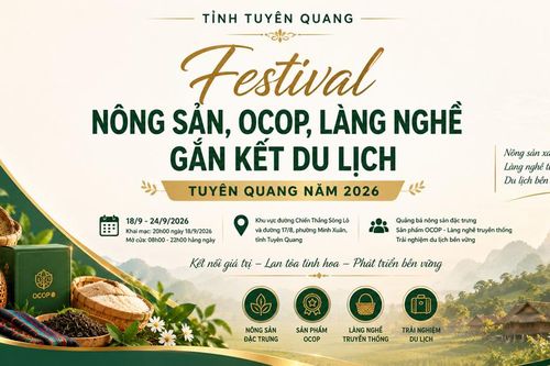 Tuyên Quang đưa nông sản, OCOP đến gần người tiêu dùng và du khách