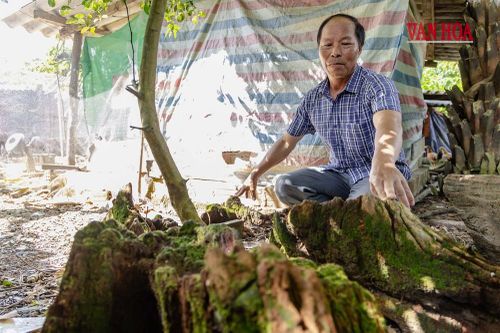 Quảng Trị:Nối lại không gian ký ức vua Hàm Nghi