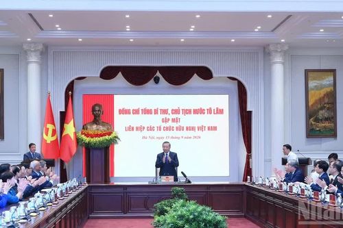 Phát huy mạnh mẽ vai trò lực lượng nòng cốt, chuyên trách của trụ cột đối ngoại nhân dân