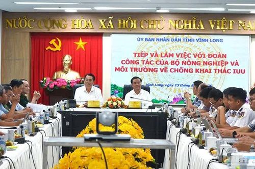 Vĩnh Long hoàn thành 15/16 chỉ tiêu về chống khai thác IUU