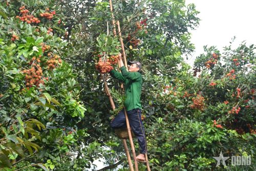 Dù gặp khó khăn, xuất khẩu nông nghiệp vẫn tăng