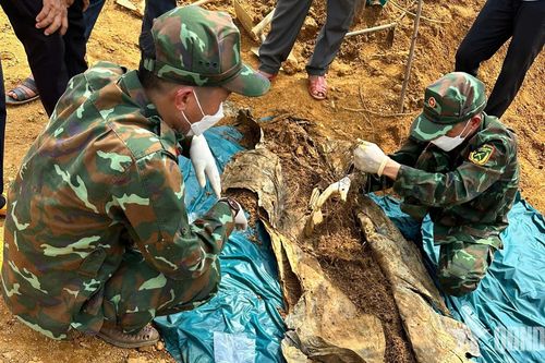 Quảng Ngãi: Bộ đội nỗ lực tìm kiếm, quy tập 9 hài cốt liệt sĩ tại xã Đặng Thùy Trâm