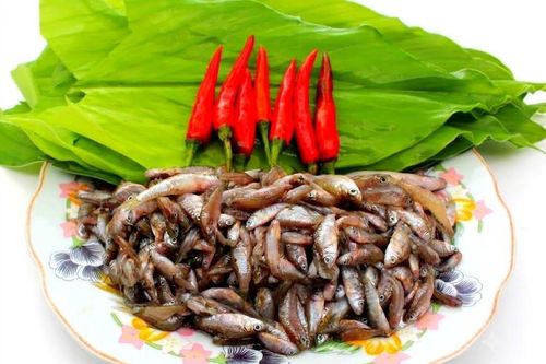Mưa đầu mùa ăn cá rầm kho lá nghệ