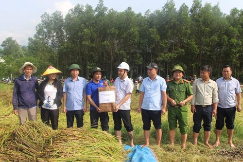 Xã Hà Nha huy động cả hệ thống chính trị giúp dân gặt lúa ngã rạp