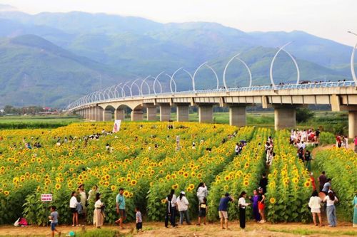 Xã Vu Gia cần phát huy lợi thế nông nghiệp, kết hợp phát triển dịch vụ trải nghiệm