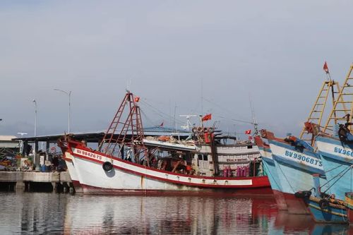 Vĩnh Long: 286 tàu cá mất kết nối hệ thống giám sát trong 8 tháng đầu năm 2026