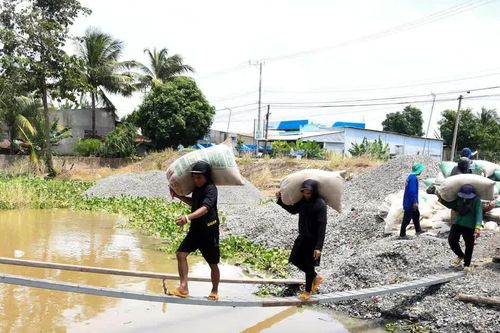 Nhọc nhằn nghề vác lúa mướn ở miền Tây