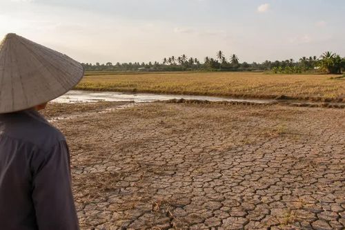 El Nino có khả năng đạt cường độ rất mạnh trong 3 tháng cuối năm