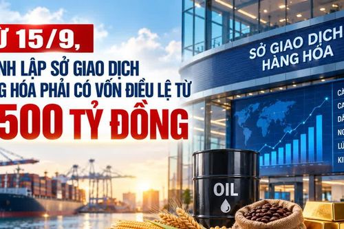 Từ 15/9, thành lập Sở Giao dịch Hàng hóa phải có vốn điều lệ từ 1.500 tỷ đồng
