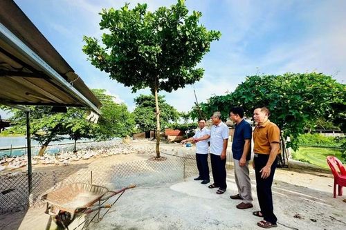 Xã Hồng Sơn kiến tạo động lực xây dựng nông thôn mới