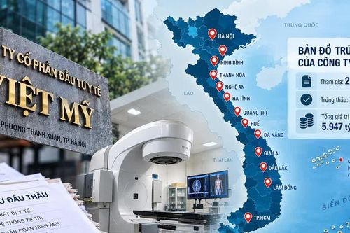 Bản đồ trúng thầu trải khắp các tỉnh, thành của Công ty Việt Mỹ