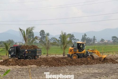 San lấp hơn 4.000m² đất lúa, bị phạt 70 triệu đồng