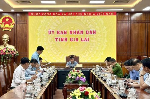 Gia Lai tăng tốc số hóa, làm sạch dữ liệu hơn 3,19 triệu thửa đất