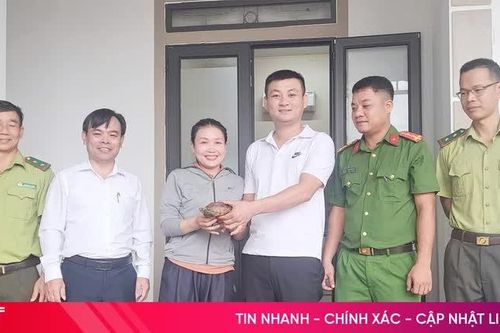 Hà Tĩnh: Người dân đi làm đồng phát hiện rùa quý hiếm... đi lạc