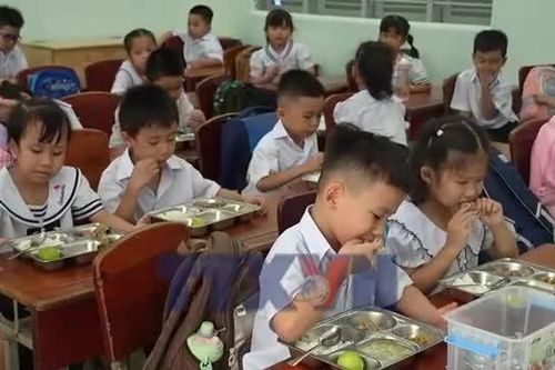 Giám sát chặt chẽ các bếp ăn bán trú trong trường học