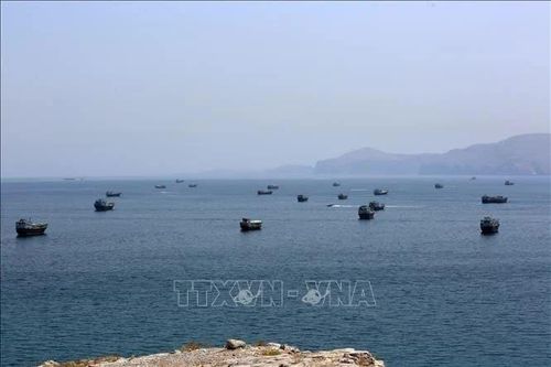 Mỹ và Saudi Arabia chuẩn bị mở rộng tuyến vận tải qua eo biển Hormuz