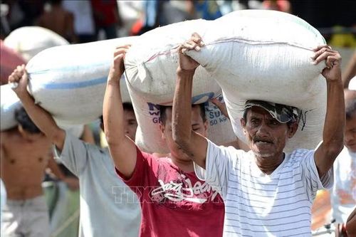 USDA dự báo Philippines nhập 5,5 triệu tấn gạo trong năm nay