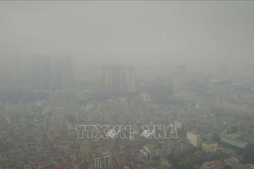 Cà Mau khẩn trương xác định hiện tượng không khí mờ đục kéo dài