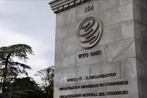 Thế giới thiệt hại 10% GDP nếu các quy tắc thương mại bị suy yếu
