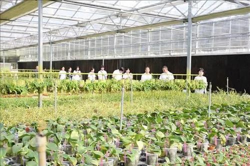 Triển vọng hợp tác Việt - Trung trong lĩnh vực nông nghiệp công nghệ cao