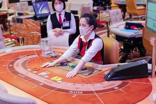 Chủ chuỗi casino Hạ Long, Phú Quốc “cõng” khoản lỗ lũy kế khổng lồ