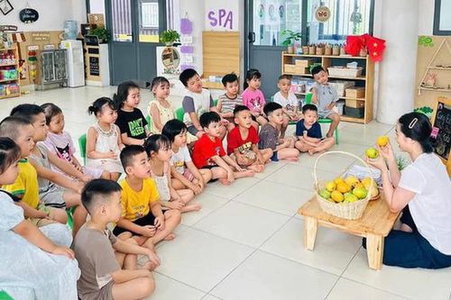 Trẻ thuộc đối tượng phổ cập giáo dục mầm non từ 5-6 tuổi được miễn, giảm, hỗ trợ học phí