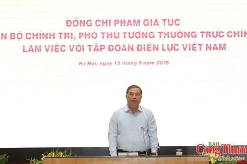 Phó Thủ tướng Thường trực Phạm Gia Túc: EVN phải đủ mạnh để bảo đảm an ninh năng lượng