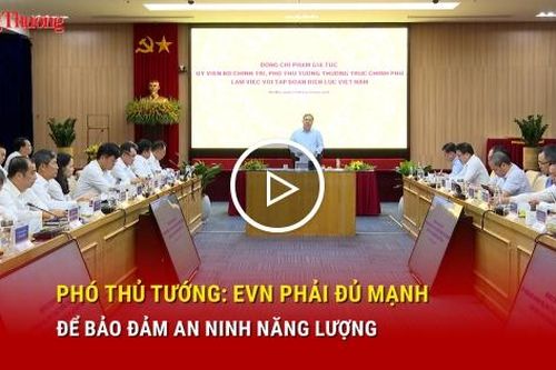 Phó Thủ tướng: EVN phải đủ mạnh để bảo đảm an ninh năng lượng