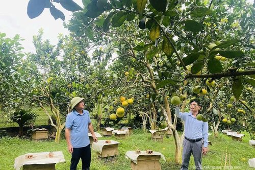 Nghỉ hưu nhưng không nghỉ khát vọng