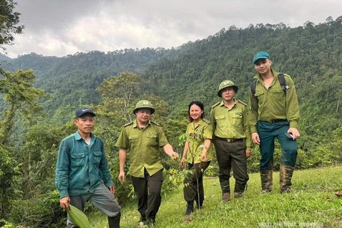 Hạt Kiểm lâm Thường Xuân tăng cường các giải pháp bảo vệ rừng