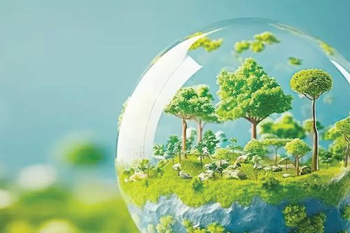 Bước chuyển trong hành trình thực hiện Nghị định thư Montreal của Việt Nam: Từ bảo vệ tầng ozone đến chuyển đổi xanh