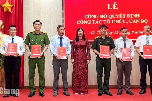 Đảng ủy xã Cô Tô thành lập 10 chi bộ trực thuộc