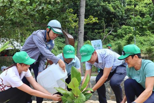 Gieo cỏ cây vun đắp khu sinh quyển