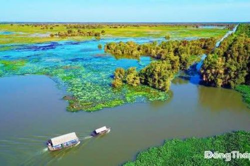 Khi mùa nước nổi về lại Ramsar Tràm Chim