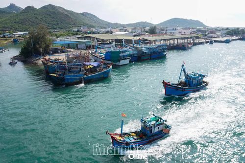 Tập trung khắc phục các khuyến nghị của EC