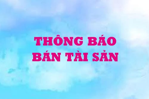 Công ty TNHH MTV Lâm nghiệp Trầm Hương thông báo bán lâm sản tại rừng trước khi khai thác của rừng trồng sản xuất