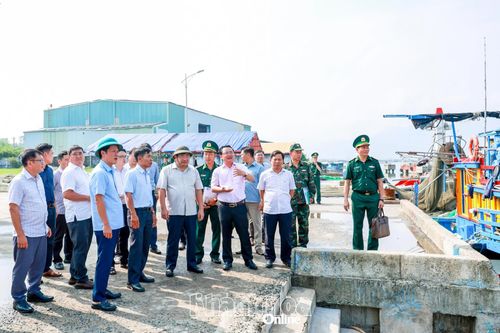 Chủ động triển khai các phương án ứng phó thiên tai, bảo đảm an toàn cho người dân, công trình trong mùa mưa bão