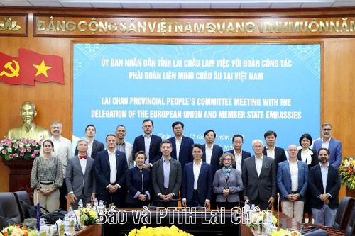 UBND tỉnh làm việc với Đoàn công tác Phái đoàn Liên minh Châu Âu tại Việt Nam
