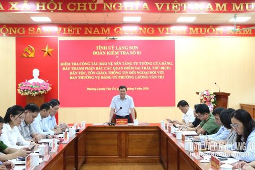 Đoàn Kiểm tra số 1 kiểm tra việc thực hiện một số nhiệm vụ công tác tại phường Lương Văn Tri