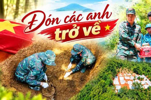 Đón các anh trở về