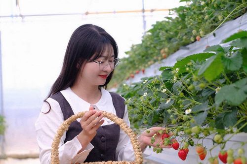 'Nốt nhạc xanh' của du lịch Lâm Đồng. Bài 2: Để du lịch chạm vào đời sống