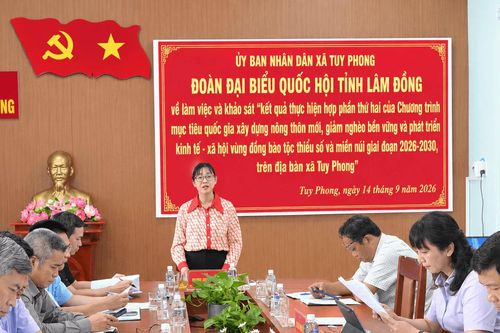 Đoàn ĐBQH Lâm Đồng khảo sát các chương trình mục tiêu quốc gia tại Tuy Phong