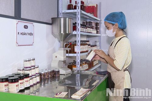 Chấp thuận tổ chức lại Quỹ Hỗ trợ phát triển hợp tác xã tỉnh Ninh Bình