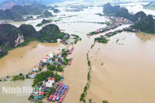 Ninh Bình chủ động ứng phó mưa lớn, nguy cơ lũ trên sông Hoàng Long và sông Đáy
