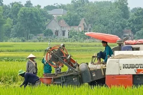 Đại Đồng tạo đà thúc đẩy phát triển kinh tế - xã hội