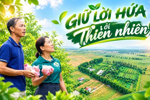 Giữ lời hứa với thiên nhiên
